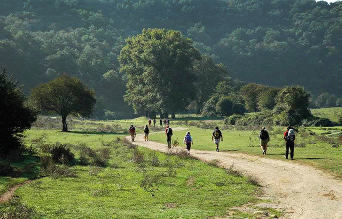 Via Francigena