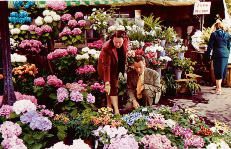 catherine dior in giardino