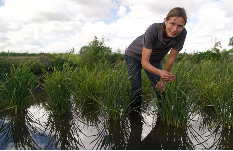 Nadine Mitschunas  in campo