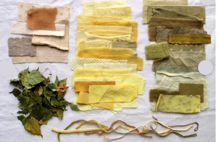 Campioni di tessuti tinti naturalmente in varie sfumature di giallo, marrone e verde accanto a foglie essiccate.