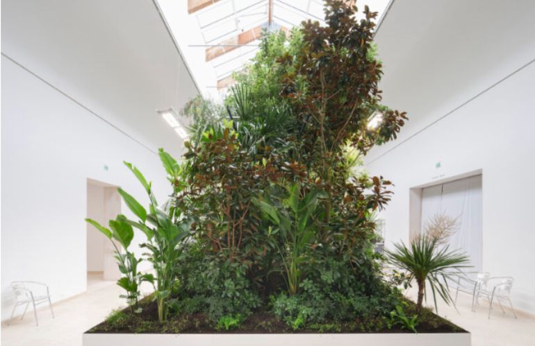 biennale architettura venezia