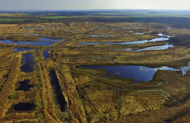 Torbiere rinaturalizzate nelle Fens per coltivazioni resilienti