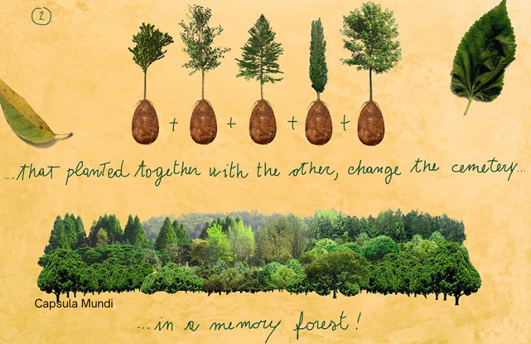Capsula Mundi: urna biodegradabile con albero