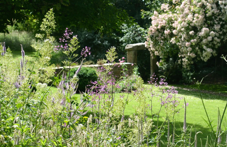 Ricerca applicata sul suolo vivo nel progetto The Land Gardeners