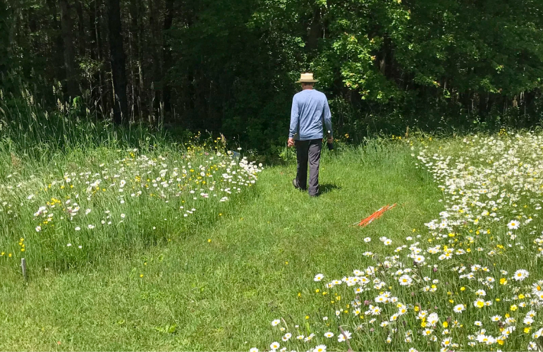 Installazione artistica verde in contesto espositivo