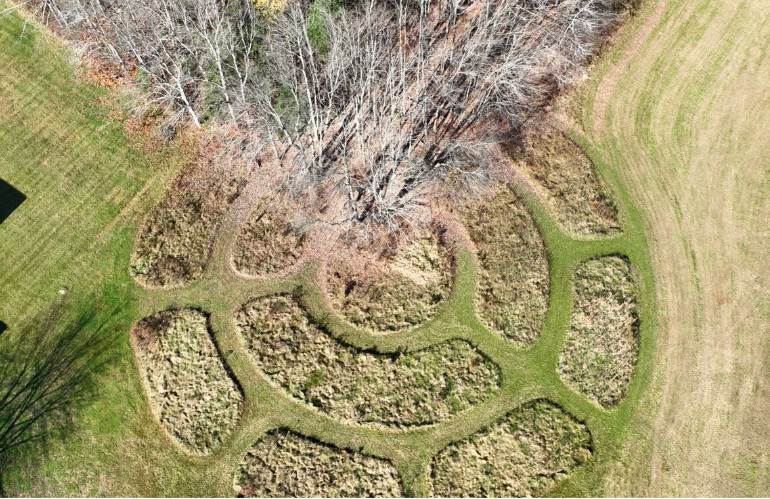 Installazione artistica con elementi naturali