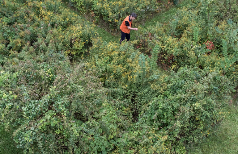 Opera di land-art sul paesaggio