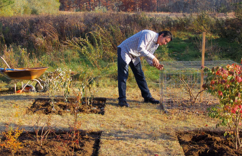 Dettaglio di installazione vegetale temporanea