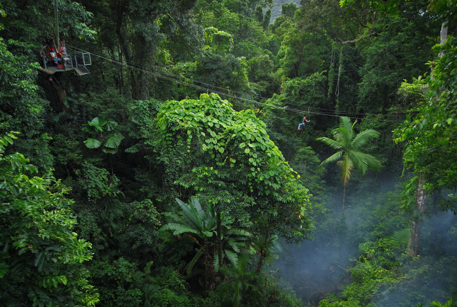 Daintree.National.Park .original.2254