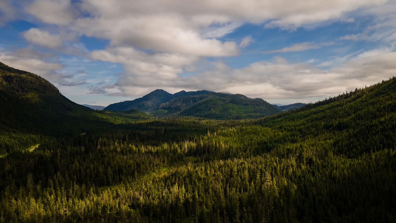 Foresta Alaska Biden