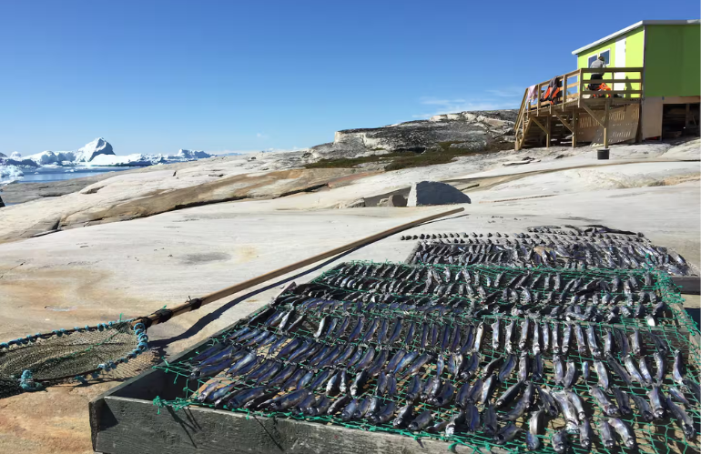 Airbnb Groenlandia: alloggio semplice, casetta prefabbricata, soggiorno 100-200 euro a notte