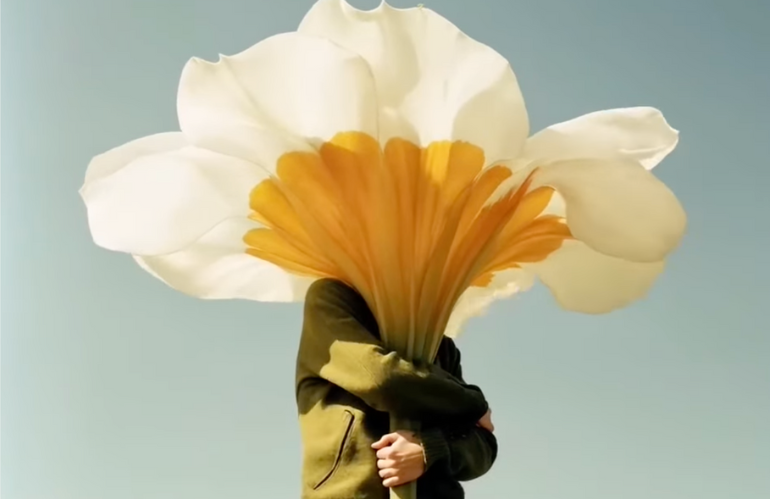 Fusione empatica tra AI e natura secondo Katoba