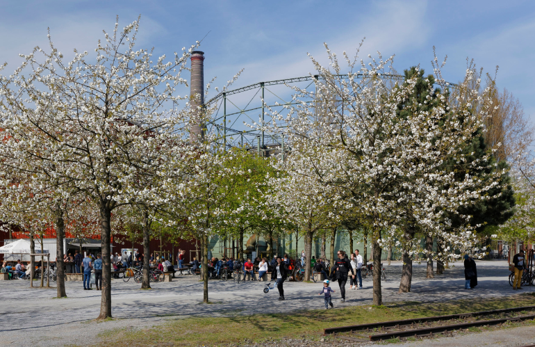 Dettaglio botanico tra i ruderi del paesaggio industriale