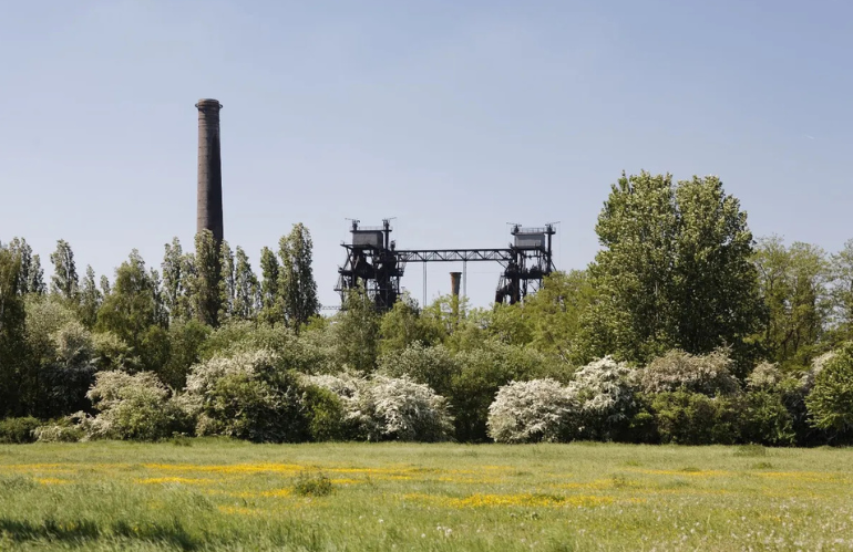 Parco Dora a Torino: giardino del ferro di Peter Latz