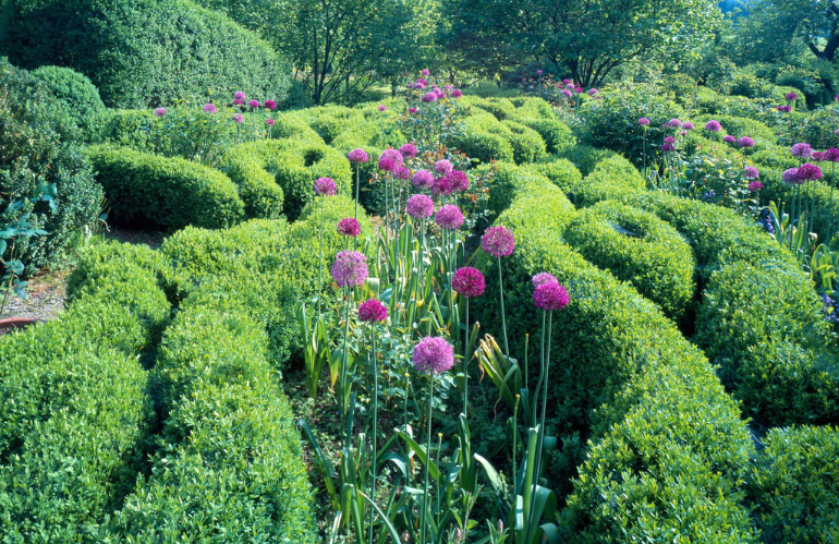 Contrasto tra natura imperfetta e struttura urbana in un progetto di Latz