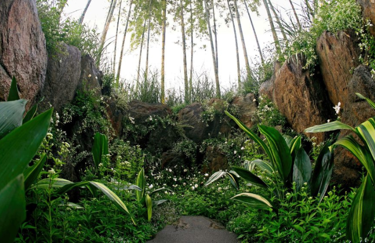 Disneyland Hong Kong giardino progettato da Lim In Chong
