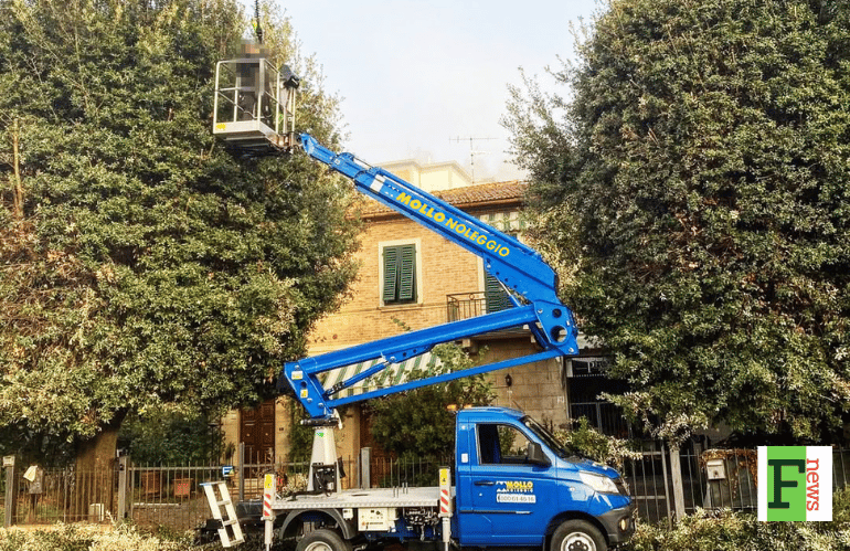 MOLLO NOLEGGIO: SOLUZIONI PROFESSIONALI PER LA CURA DEL VERDE