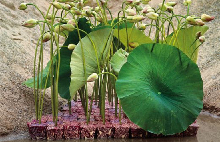 Bouquet artistico Daniel Ost con volumi e linee scultoree