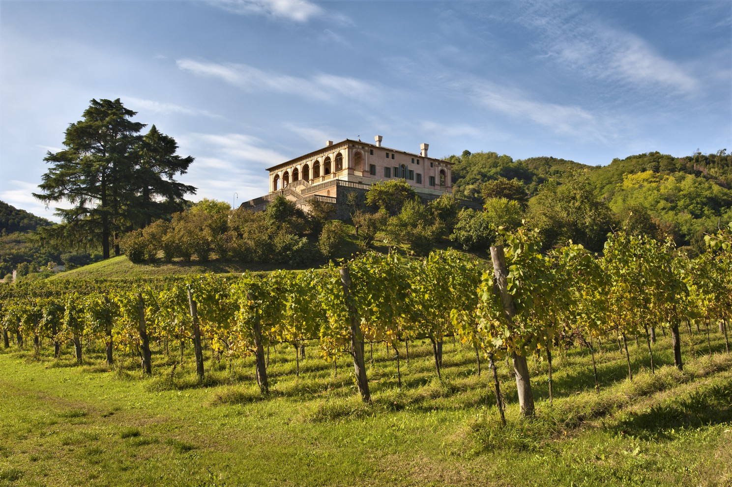 Villa_dei_Vescovi_Luvigliano_di_Torreglia_PD_Foto_Fabio_Santagiuliana_2013__FAI__Fondo_per_lAmbiente_Italiano.jpg