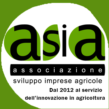 375x375 asia notizie