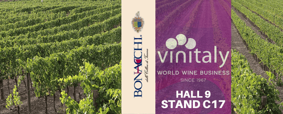 572x230 bonacchi vinitaly 26