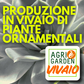375x375 Agri Vivaio (2)