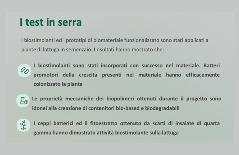 bbplug serra
