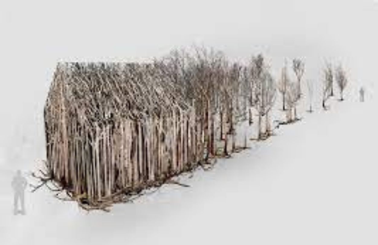 doris salcedo 2