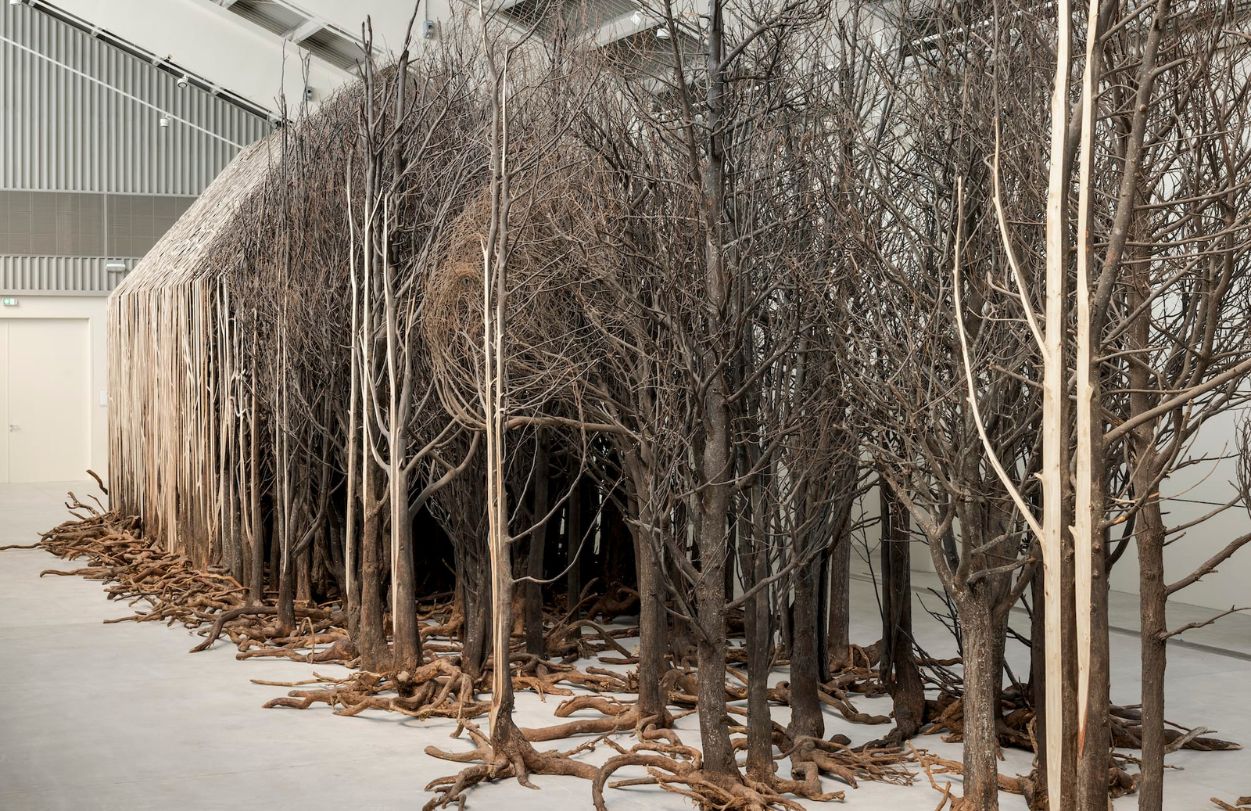 doris salcedo 3