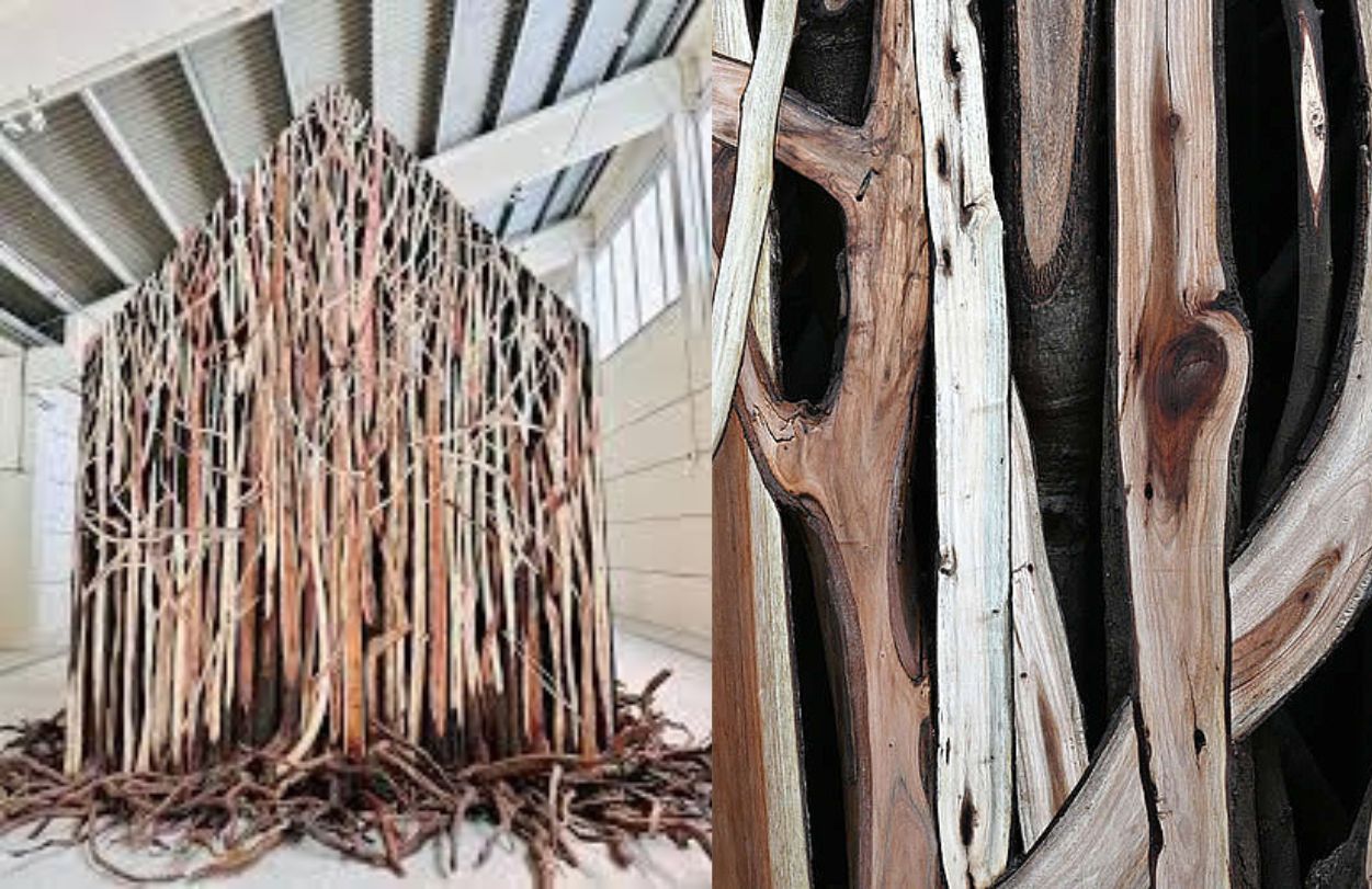 doris salcedo 4