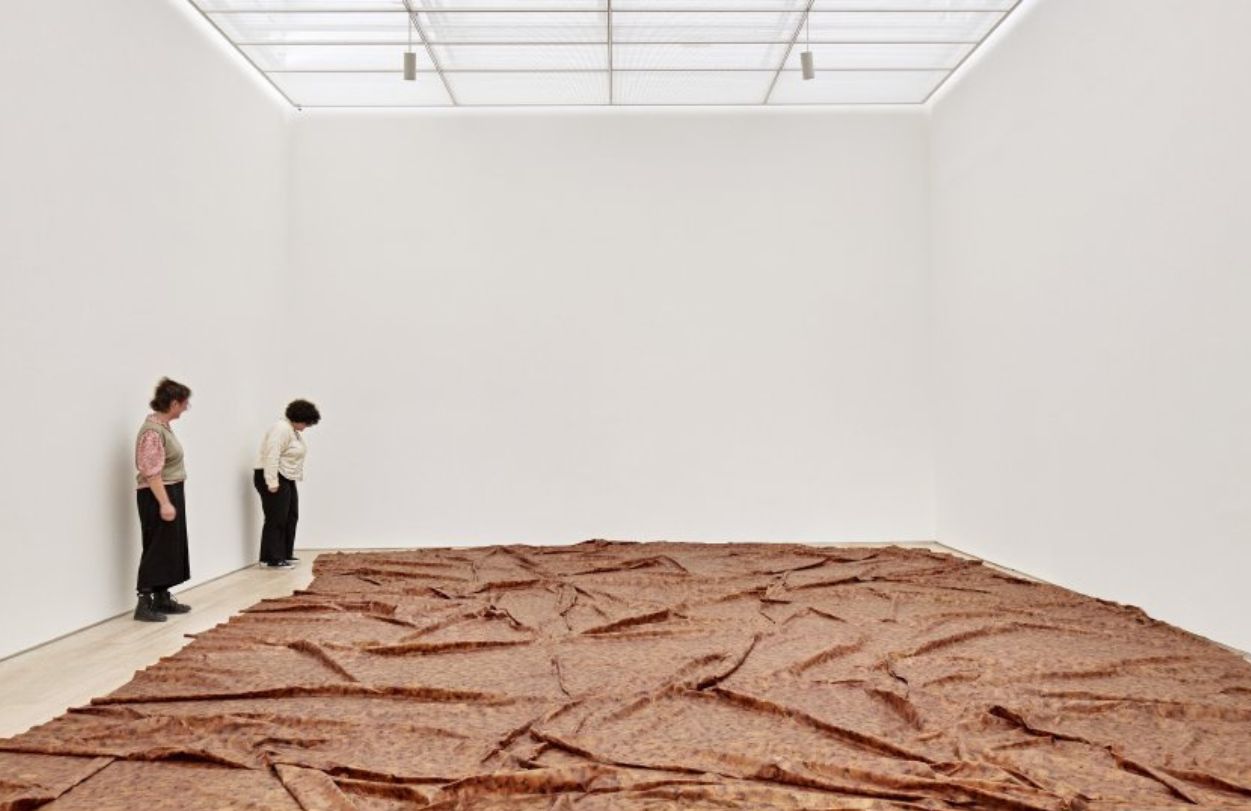 doris salcedo 6