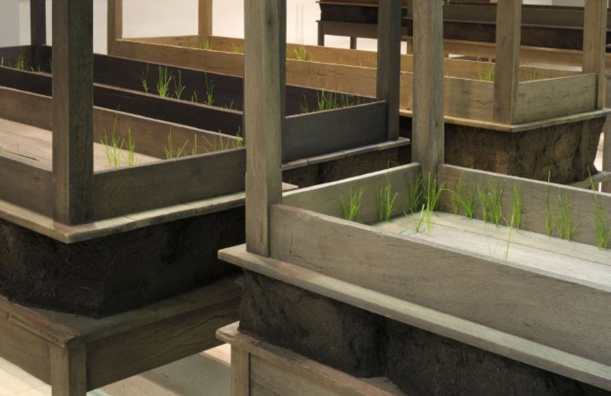 doris salcedo 7