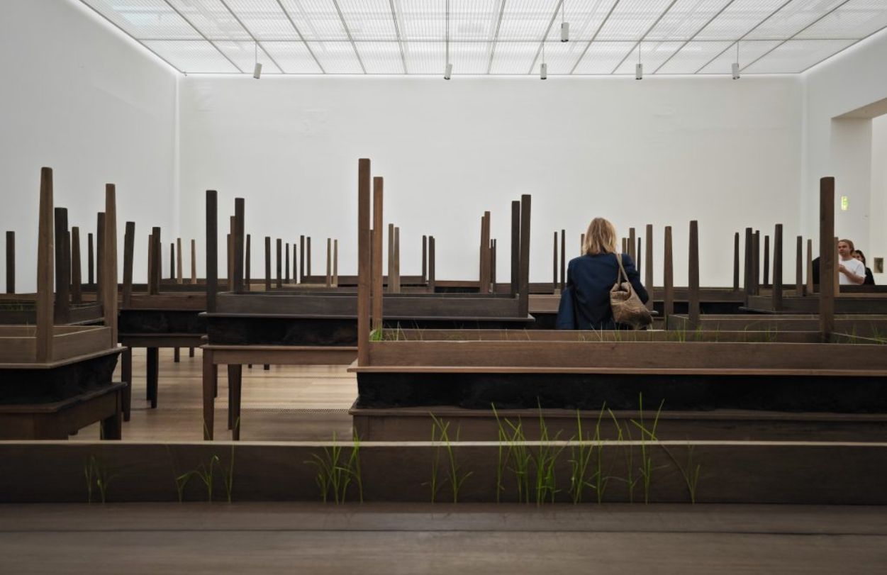 doris salcedo 8