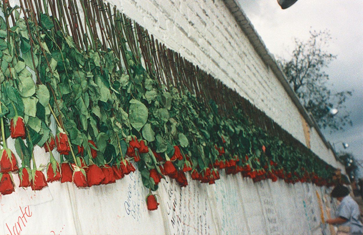 doris salcedo 9