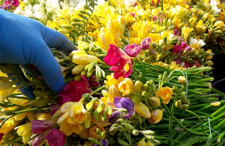 sostegno alla floricoltura