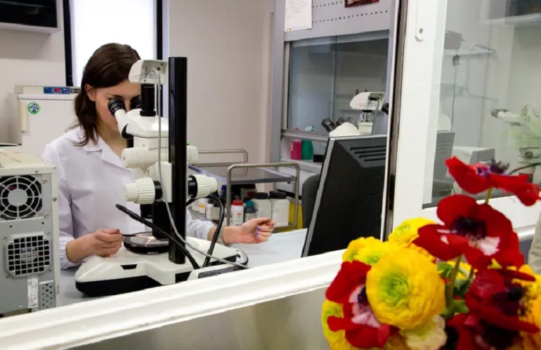 Laboratorio Fitopatologico del CeRSAA