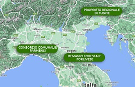 valorizzazione dei boschi e stoccaggio di CO2