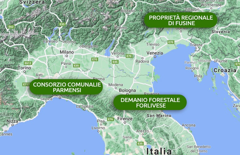 valorizzazione dei boschi e stoccaggio di CO2