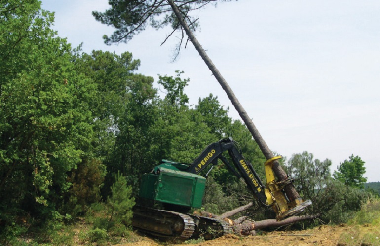 gestione forestale - linee guida per ridurre gli impatti al suolo nell'esbosco 
