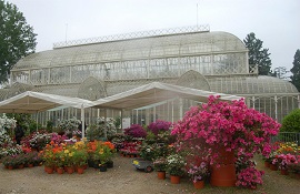 Vivaismo sostenibile - mostra-mercato autunnale di piante e fiori di Firenze