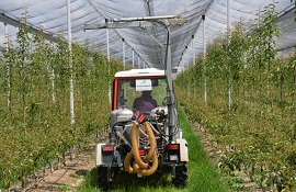 Green Deal - uso di pesticidi 