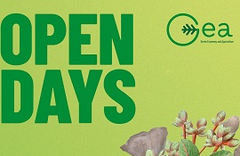 verde pubblico - Open Days - GEA