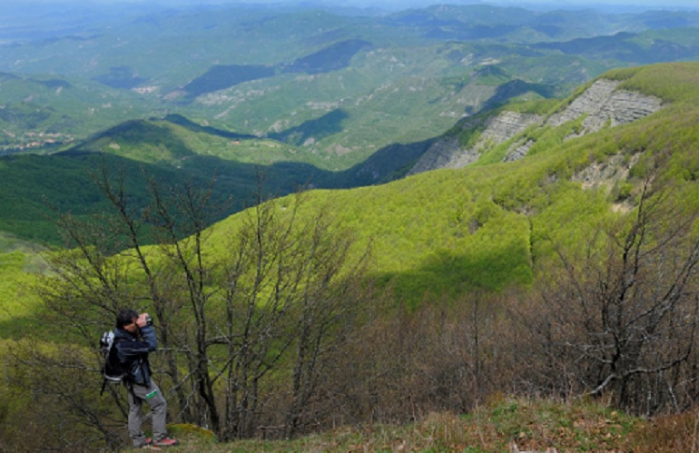 foreste toscane - piano di lavoro e delle attività