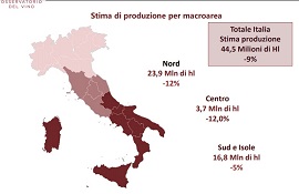 Vendemmia italiana 2021