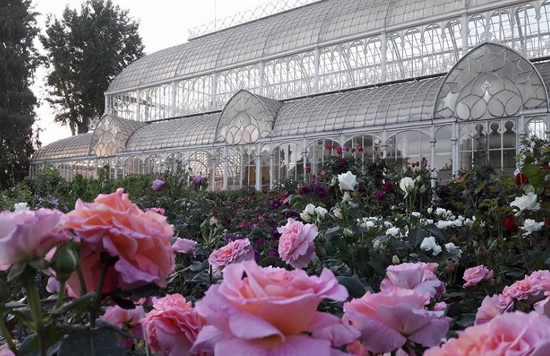 Ferrini e Mancuso - Mostra mercato di piante e fiori di Firenze