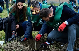 Think Forestry progetto di forestazione di Intesa Sanpaolo