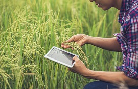 Premio per l’innovazione in agricoltura di Confagricoltura