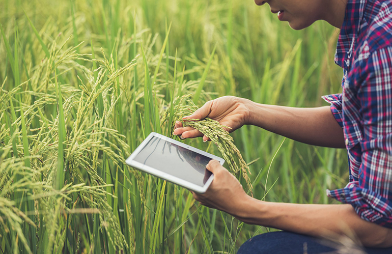 Premio per l’innovazione in agricoltura di Confagricoltura