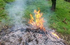 Prevenzione incendi boschivi - divieto di abbruciamento di residui vegetali 