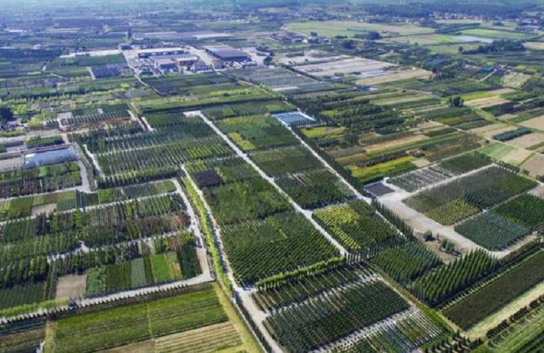 Monitor Intesa Sanpaolo sull'export dei distretti agroalimentari della Toscana - vivaismo 